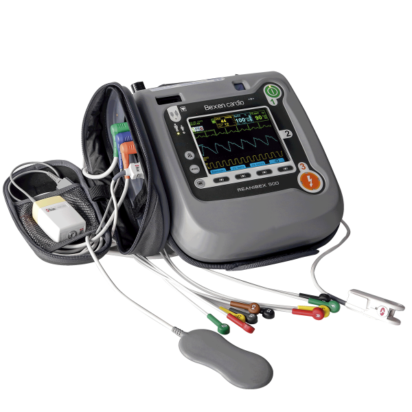 reanibex-500-ems